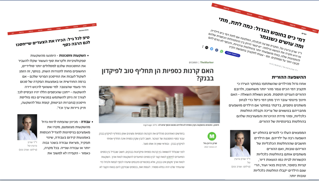 פירמידת הניהול הפיננסי